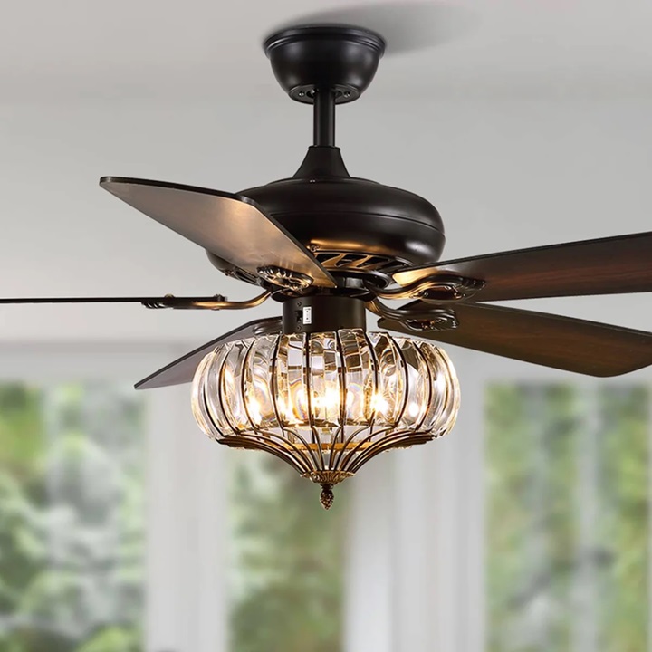 ceiling fan with light