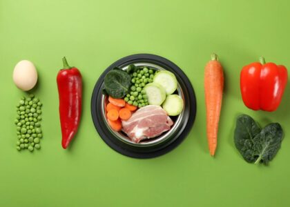 wellhealthorganic organic pet food benefits