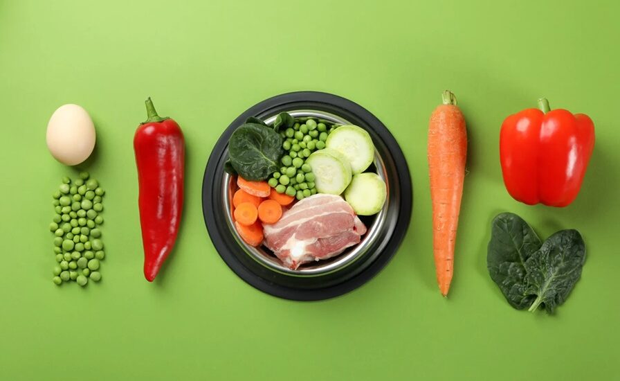 wellhealthorganic organic pet food benefits