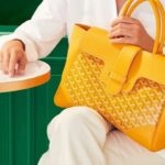 goyard bag